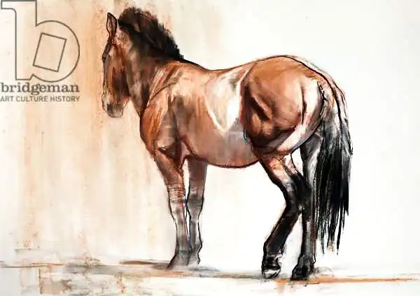 Adlington, Mark: Stand (Przewalski)