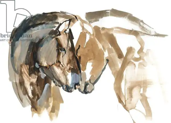 Adlington, Mark: Nose to Nose (Przewalski)