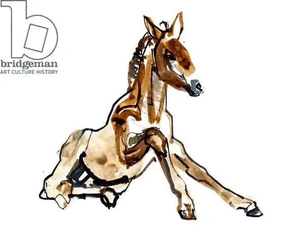 Adlington, Mark: Ochre Foal (Przewalski)