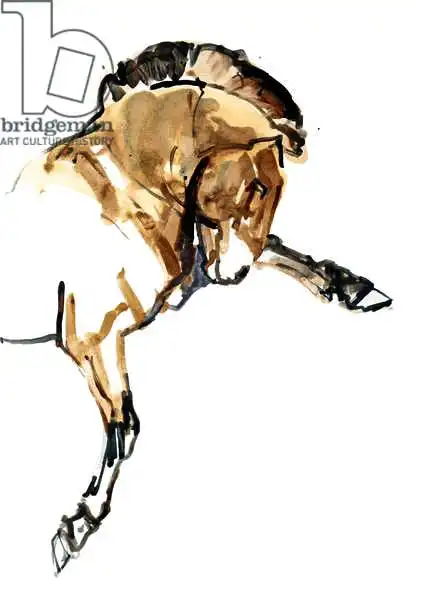 Adlington, Mark: Stallion (Przewalski)