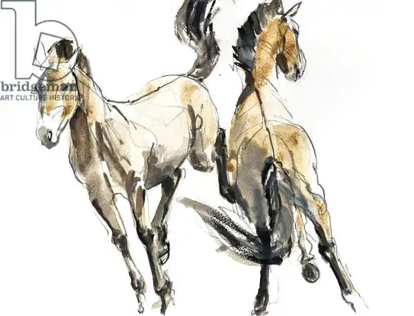 Adlington, Mark: Horsing