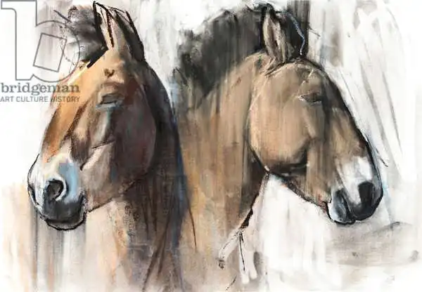 Adlington, Mark: Head Study (Przewalski) 2012