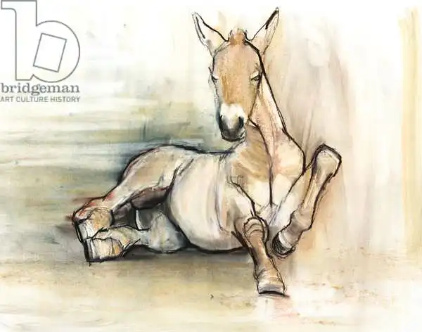 Adlington, Mark: Foal