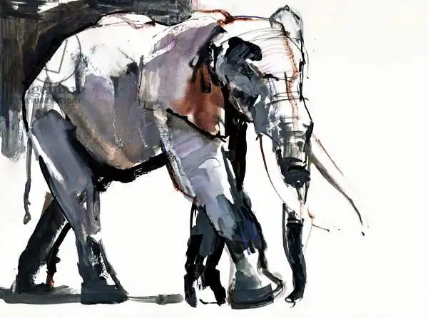 Adlington, Mark: African Elephant