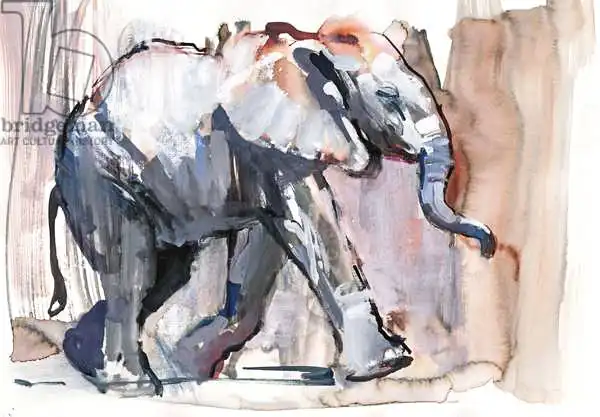 Adlington, Mark: Baby elephant