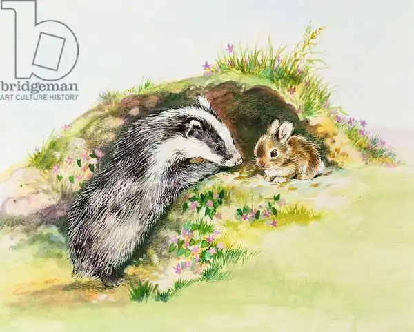 Matthes, Diane: Badger et un lapin