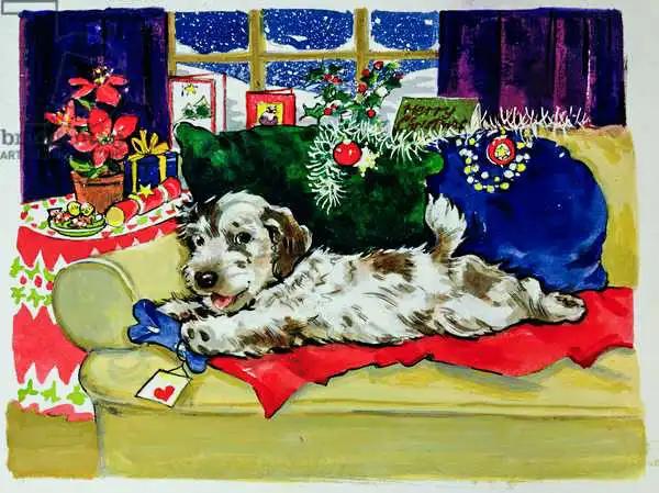 Matthes, Diane: Un os pour Noël