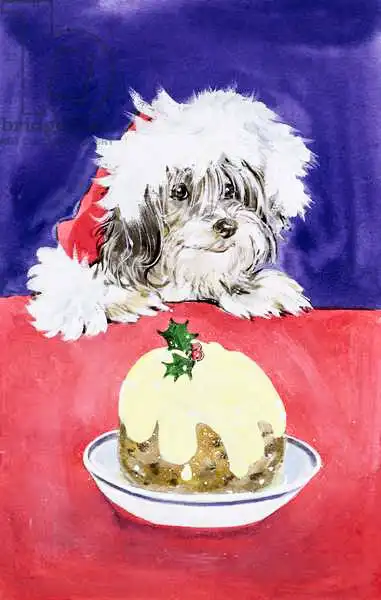 Matthes, Diane: Le pudding de Noël