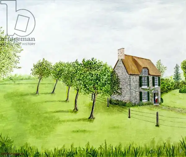 ESTATE OF MARK BARING: The Middle of Nowhere