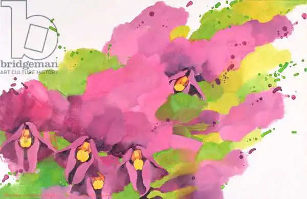 Sim, Myung-Bo: Violets