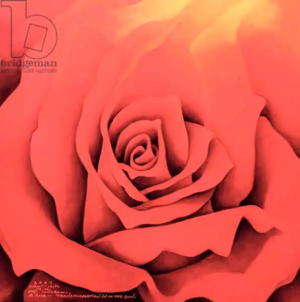 Sim, Myung-Bo: Rose in the Festival of Light
