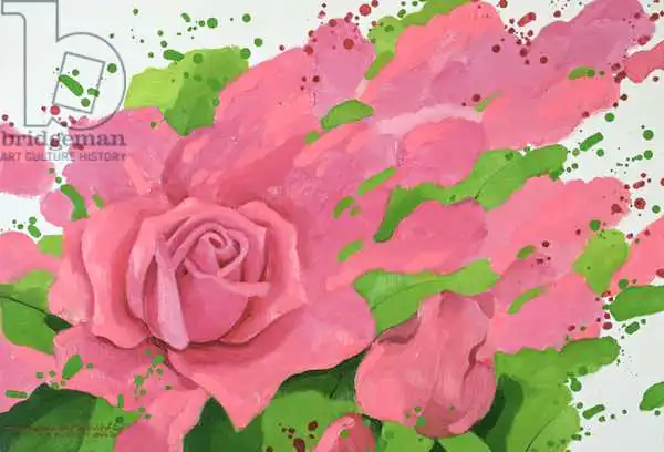 Sim, Myung-Bo: Rose, in the Festival of Light