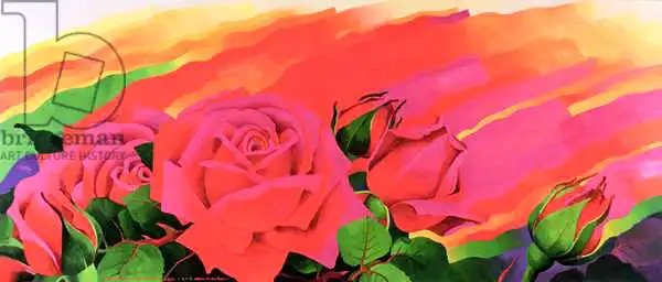 Sim, Myung-Bo: Rose in the Festival of Light