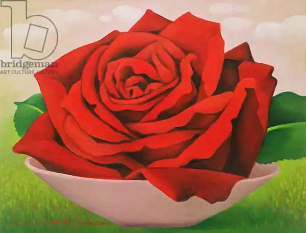 Sim, Myung-Bo: Růže
