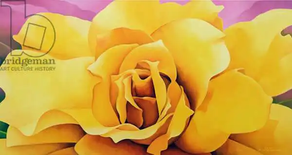 Sim, Myung-Bo: Golden Rose