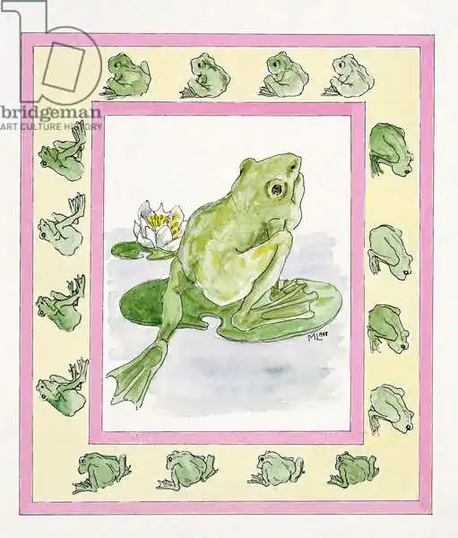 Legard, Miranda: Frogs