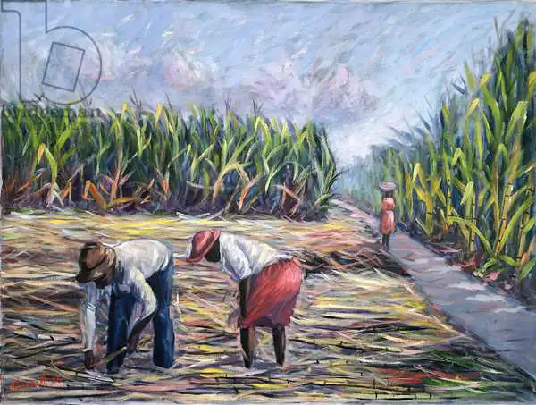 Murrell, Carlto: Sugarcane Harvest