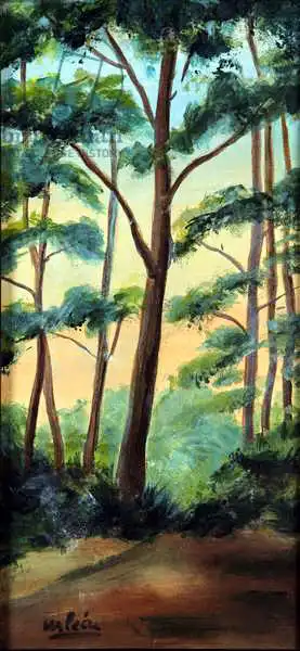 Leon, Marisa: The Light in the Woods