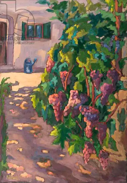 Martonfi-Benke, Mart: En el viñedo