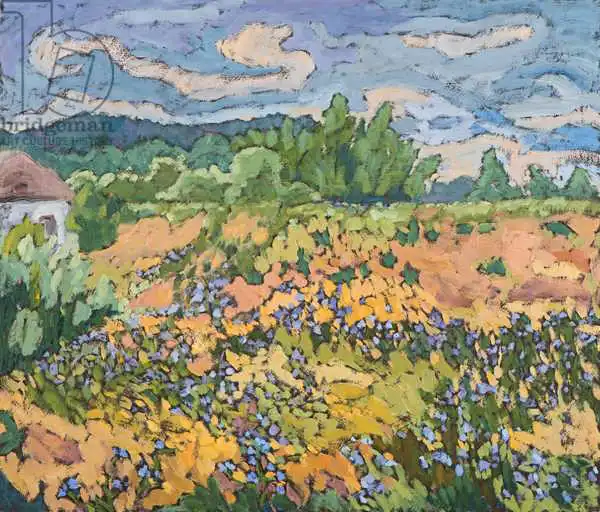 Martonfi-Benke, Mart: Wild Flowers on the Dyke Bank