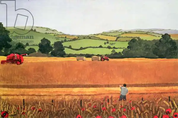 Rowe, Maggie: Harvesting in the Cotswolds
