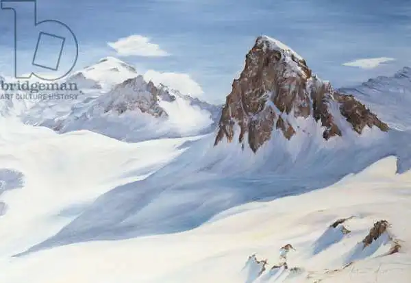 Myatt, Antonia: Sombras alpinas