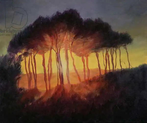 Myatt, Antonia: Árboles silvestres al atardecer