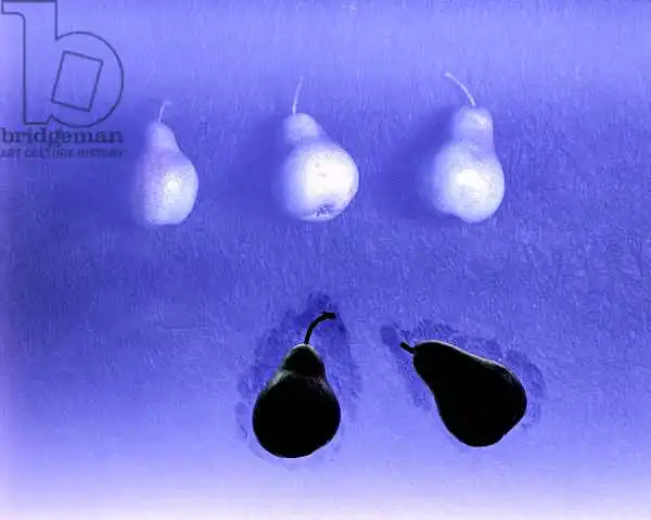 Hollands, Norman: Blue Pears (after Wm. Scott) 2005