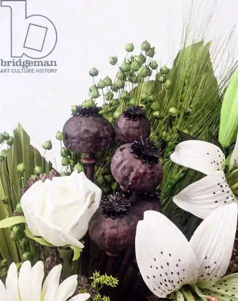 Hollands, Norman: Seed pod Bouquet