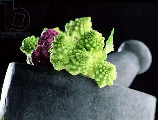 Hollands, Norman: Romanescu in granite pestle and mortar