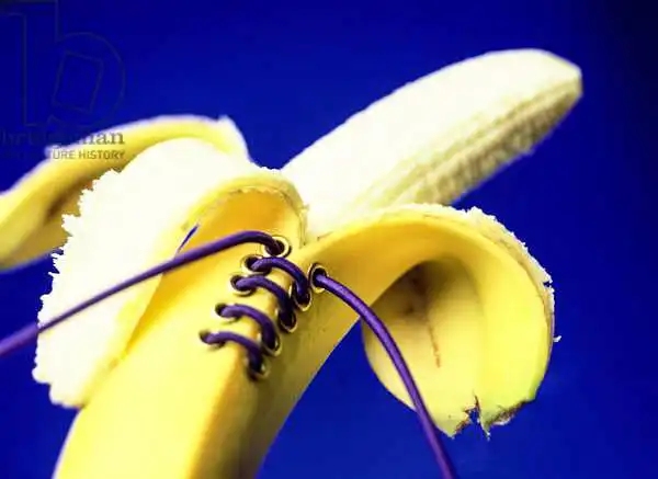 Hollands, Norman: Banana in a basque