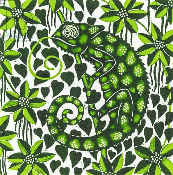 Morley, Nat: Chameleon