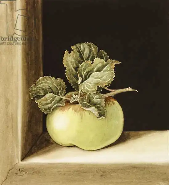 Barron, Jenny: Apple