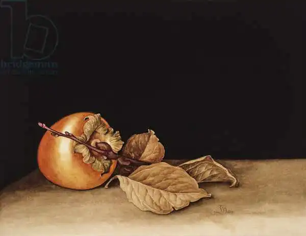 Barron, Jenny: Persimmon, 2004