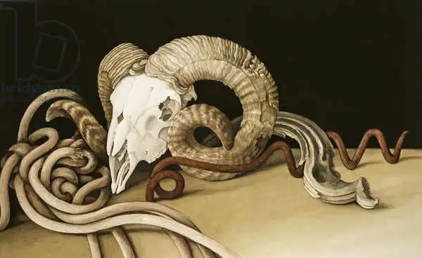 Barron, Jenny: Vanitas, 2004