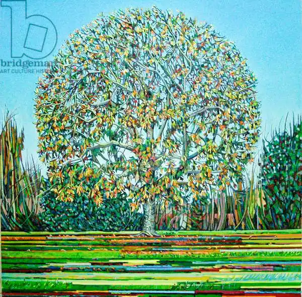 Paine, Noel: Arco de otoño