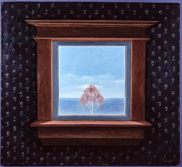 Davidson, Peter: Durch das Fenster