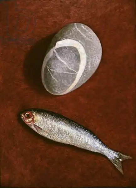 Davidson, Peter: Poisson et forme rocheuse