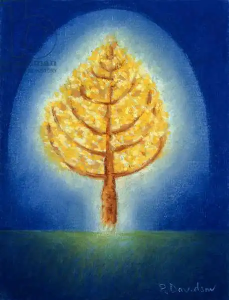 Davidson, Peter: Leuchtender Baum