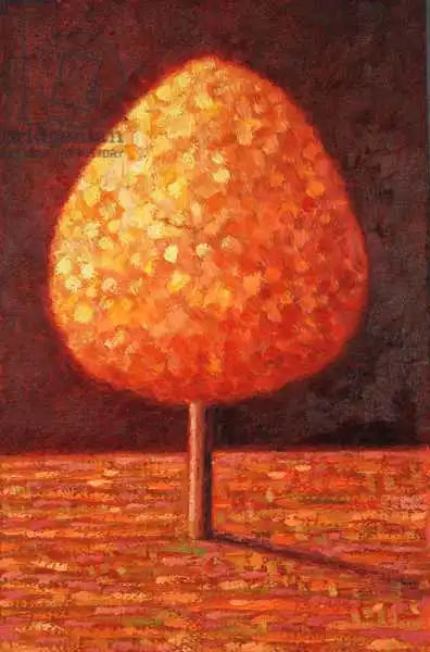 Davidson, Peter: Soleil trempé