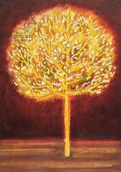 Davidson, Peter: Arbre fleuri