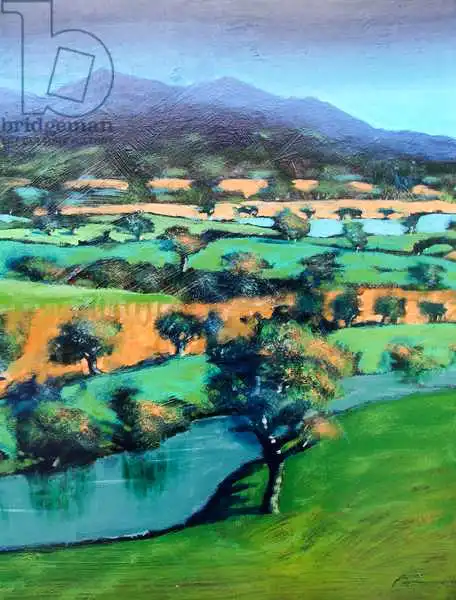 Powis, Pau: Malvern