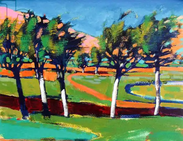 Powis, Pau: Evergreen