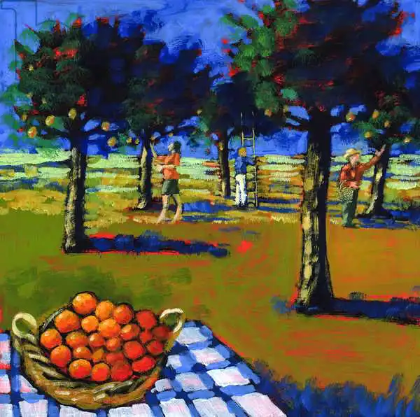 Powis, Pau: Orange picking