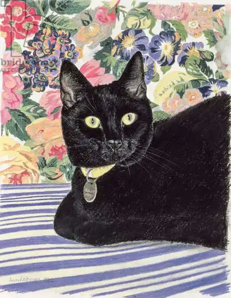 Robinson, Anne: Black Cat