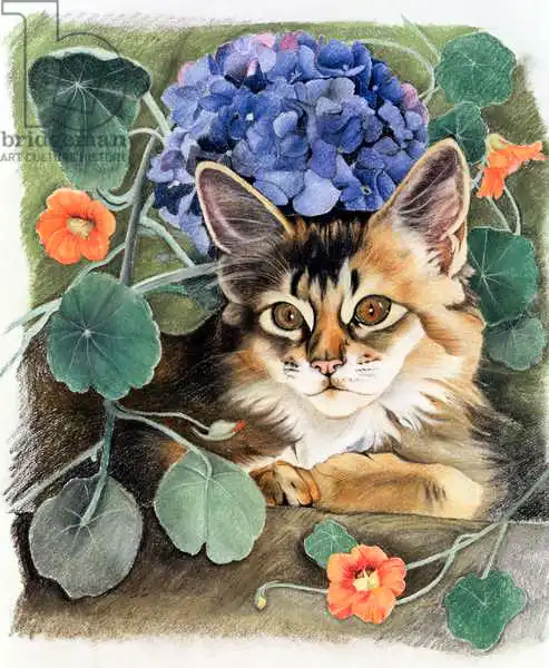 Robinson, Anne: Sootsy with Hydrangea
