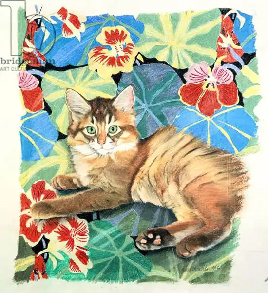Robinson, Anne: Sootsy and Dufy Fabric