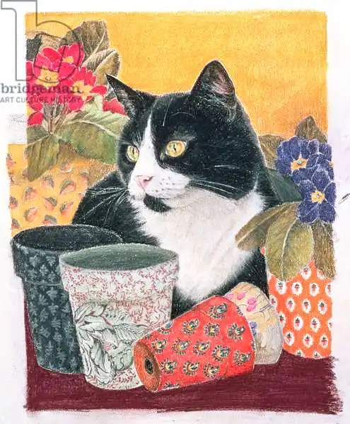 Robinson, Anne: Bhajii and Flowerpots