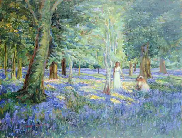 Tyndall, Robert: Bluebell Wood