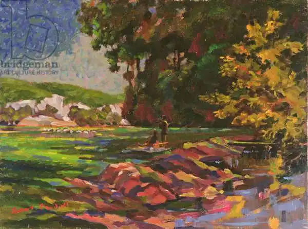 Tyndall, Robert: The Picnic